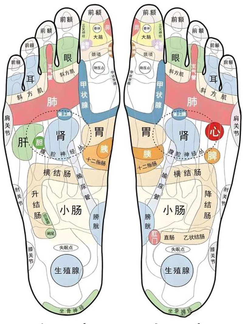 康桥足疗：舒缓身心的温暖旅程